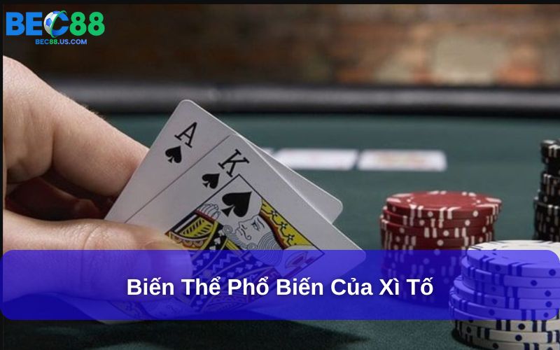 Biến thể phổ biến của xì tố Biến thể phổ biến của xì tố
