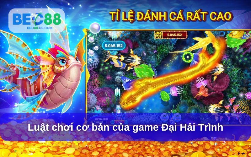 Luật chơi cơ bản của game đại hải trình Luật chơi cơ bản của game đại hải trình
