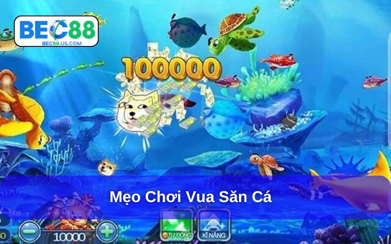 Mẹo săn bắt mồi hiệu quả giữa lòng đại dương Mẹo săn bắt mồi hiệu quả giữa lòng đại dương