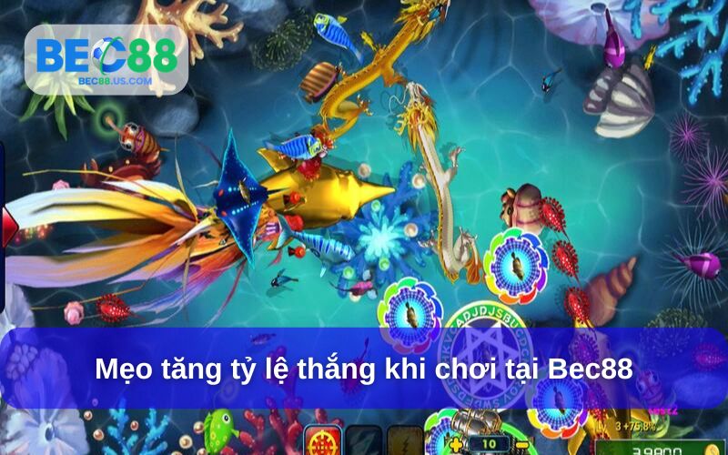 Mẹo tăng tỷ lệ thắng khi chơi tại Bec88 Mẹo tăng tỷ lệ thắng khi chơi tại Bec88