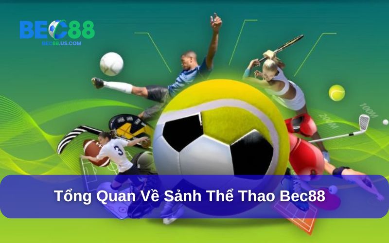 Thể thao Bec88 được nhà cái đầu tư kỹ lưỡng Thể thao Bec88 được nhà cái đầu tư kỹ lưỡng