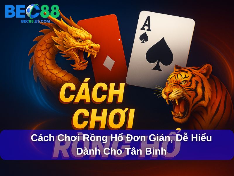 Cách Chơi Rồng Hổ Đơn Giản, Dễ Hiểu Dành Cho Tân Binh