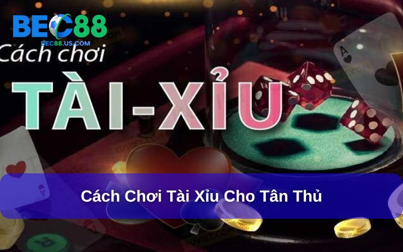 Cách Chơi Tài Xỉu Chi Tiết, Dễ Hiểu Cho Người Mới Tham Gia