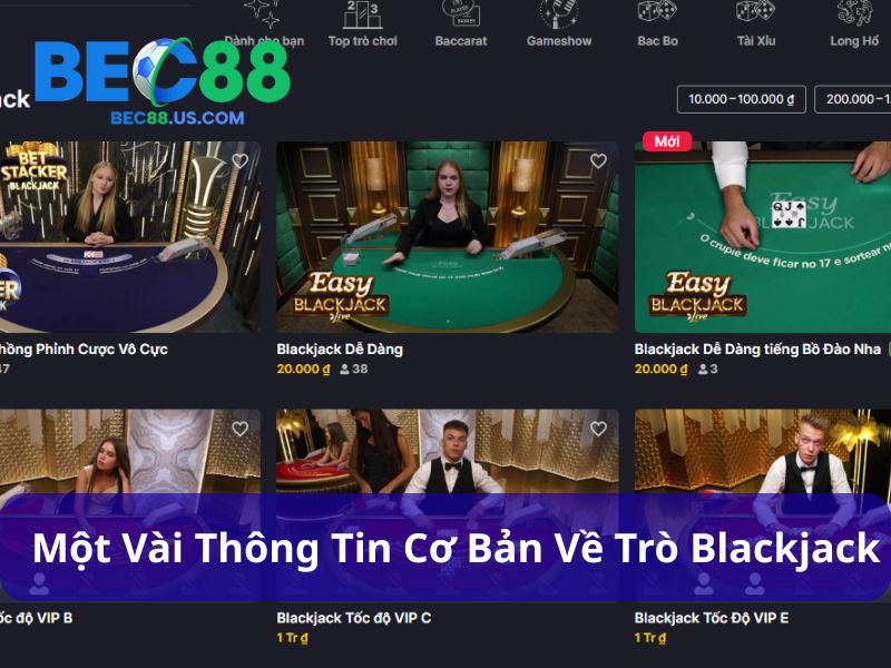 Hướng Dẫn Chơi Blackjack: Nắm Luật, Hiểu Chiến Thuật, Thắng Dễ Dàng 2 Hướng dẫn chơi Blackjack đúng cách