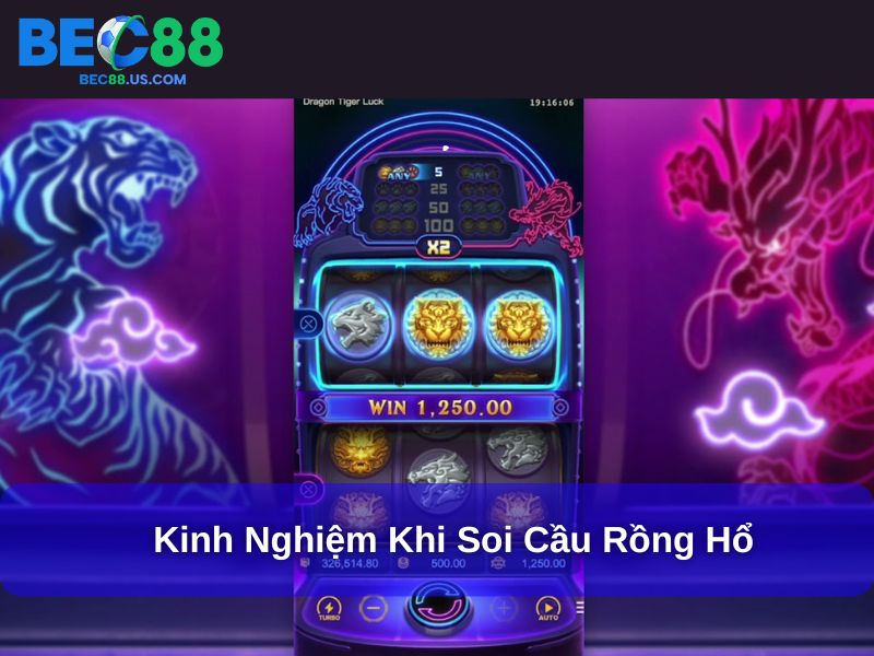 Cách Soi Cầu Rồng Hổ Tìm Kiếm Quy Luật Thắng Lớn 4 Kinh nghiệm khi soi cầu Rồng Hổ