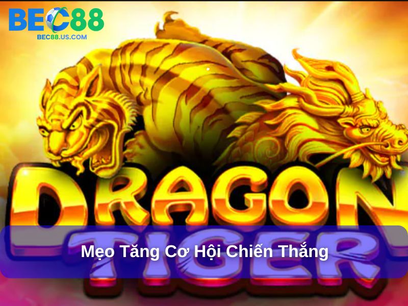 Cách Chơi Rồng Hổ Đơn Giản, Dễ Hiểu Dành Cho Tân Binh 4 Mẹo tăng cơ hội chiến thắng