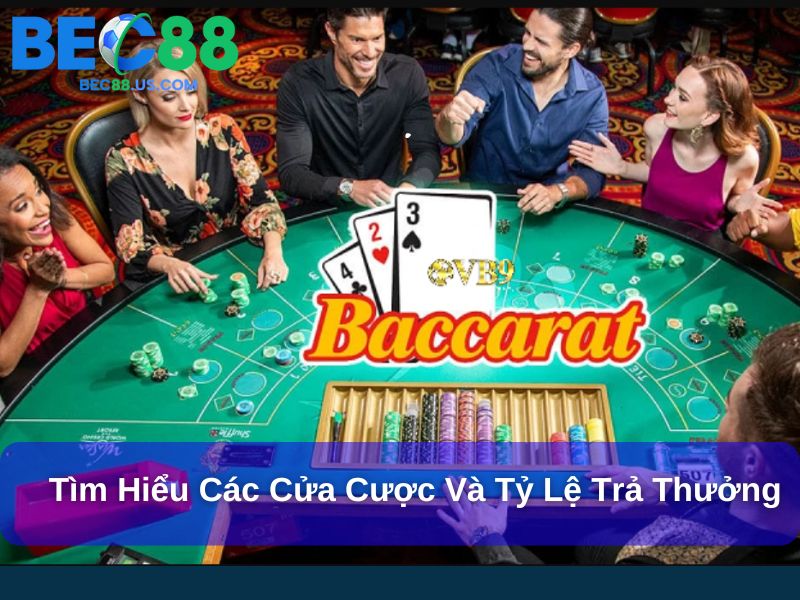 Cách Chơi Baccarat Từ A Đến Z Để Dễ Dàng Chiến Thắng 3 Tìm hiểu các cửa cược và tỷ lệ trả thưởng