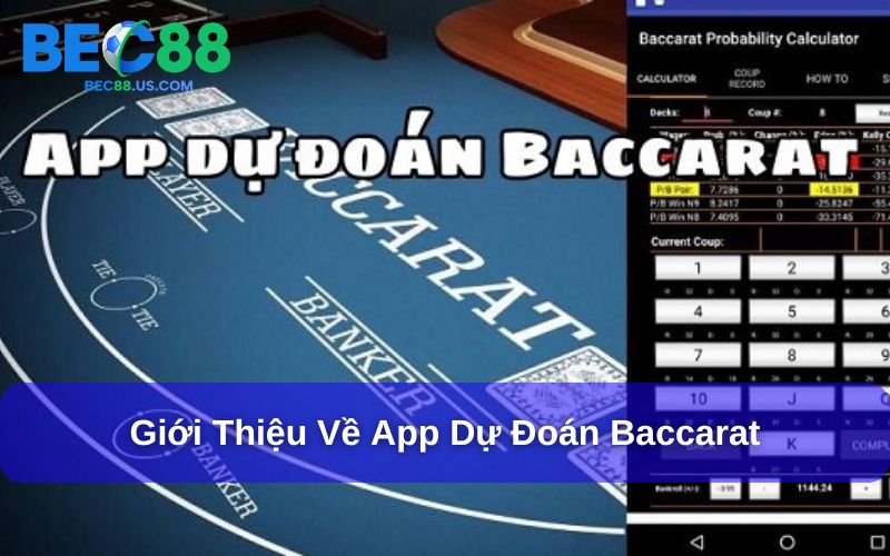 App dự đoán Baccarat hỗ chơi chơi bài
